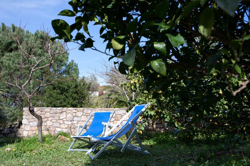 Villetta Il Gelsomino Marciana Marina  Exterior foto